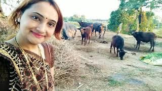 My Village (Gujarat, India)Part-1 / vaishali mukesh