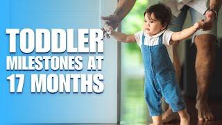 17-Month-Old Milestones For Your Baby