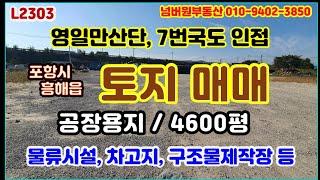 공장용지, 잡종지 매매 / 포항 영일만산단 및 7번 국도와 인접한 부지