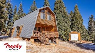 Meadow View Cabin with Four Bedrooms - 775 E Cedar Mountain Dr