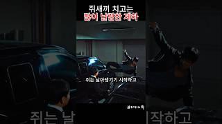 매우 날렵한 쥐