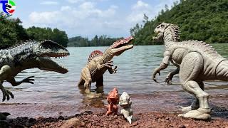 SPINOSAURUS VS INDOMINUS VS GIGANOTAURUS Jurassic World | Backyard Battles