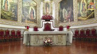 Santa Misa desde la Parroquia Basílica de Santa María de Guadalupe en Pachuca, Hgo.