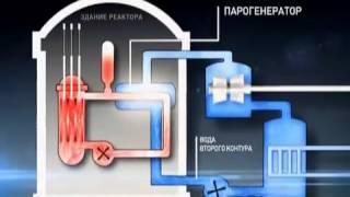 Принцип работы ядерного реактора