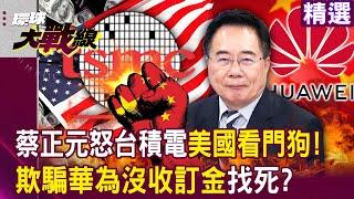 Alex Tsai angrily denounced "TSMC is the watchdog of the United States"!