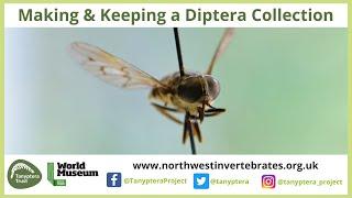 Making and Keeping a Diptera Collection