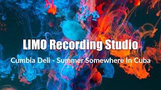 Cumbia Deli - Summer Somewhere In Cuba (No Copyright Music)