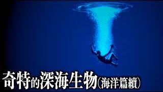 發光、寄生、食腐，來自深海生物的生存之道！