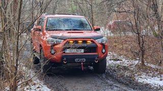 #OFFROAD- лайт тут не всегда, ДЕЛЬФИН заманивает в болото и ....