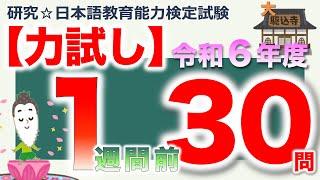 【力試し・令和６年度 １週間前】日本語教育能力検定試験まとめ