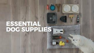 27 Items Every Dog Owner Should Have | ESSENTIAL SUPPLIES