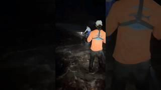 Man VS 8ft Shark at Sebastian Inlet #bullshark #fishing #sharkfishing