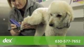 PurrFurred Pet Styling Mobile Grooming - West Chicago Suburbs