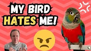 MY BIRD HATES ME! | TheParrotTeacher