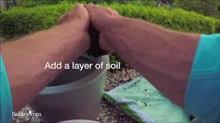 Gardening- How to plant in layers!