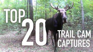 TOP 20 Trail Cam Captures (2021)