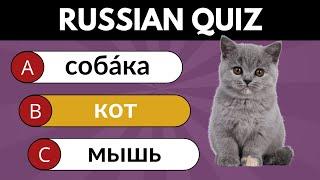 Russian Language Test  50 Easy Russian Words for Beginners  Can You Get All 50?