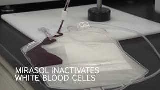 Mirasol Pathogen Reduction Technology and a safe blood supply