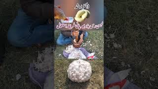 Garlic for Chickens | Natural Antibacterial for Poultry Birds | Dr. ARSHAD