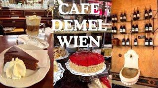 Cafe Demel Vienna I Vienna Food Tour l Pastry and Chocolaterie Shop I 2024 #wien #cafevlog