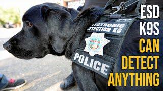 Electronic Storage Device K9's are STOPPING PREDATORS...