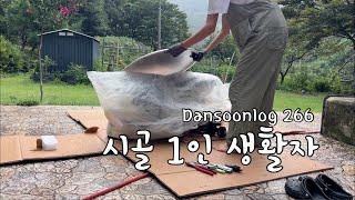 Korean summer country life vlog 266) The last heat wave