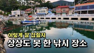 가을철 낚시 3시간으로 수십마리 조과가 가능한 고기 잡는법 [박과장TV]