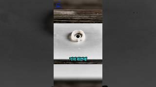 수은 한 방울에 알루미늄이 자라나는 이유#shorts