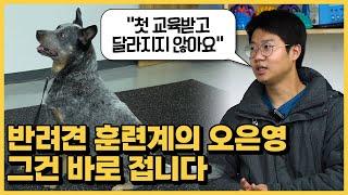 강아지 반려견 훈련사 되는법, 자격증, 하는일, 행동교정까지! (애견유치원 올바른참견 대표 이중규)