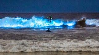 Unbelievable Bioluminescent Beach, California