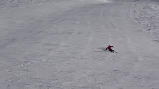 Long Turns Skiing. Racestyle