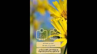 5 May 2023