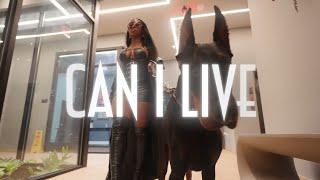 DamnGirll x Can I Live (Official Music Video)