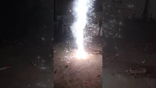 Diwali Special