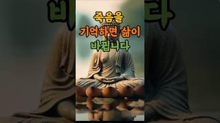 죽음을 기억하면 인생이 달라집니다 #부처님말씀 #마음치유