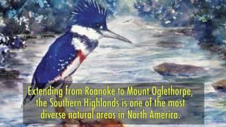 Literary Excursions in the Southern Highlands: Essays on Natural History