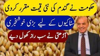 Today Wheat Price In Punjab Ghala Mundi | Usman agriculture