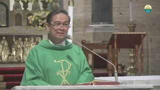 Cathedral Homilies - November 18 (Fr. Ted)