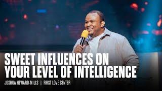 The Sweet Influence of the Holy Spirit on Your Level of Intelligence | Joshua Heward-Mills