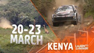 Get Excited For WRC Safari Rally Kenya 2025! 