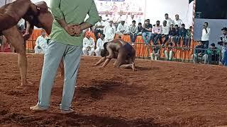 Abhijit bhoir vs Akshay Chougule | Hinjewadi Kusti, Pune