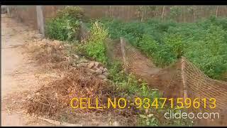 Land for Sale Very close to Bhogapuram International Airport