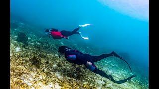 보라카이 호핑투어 프리다이빙 스노클링 스킨다이빙 boracay boracayfreedive boracayfreediving boracaydiving