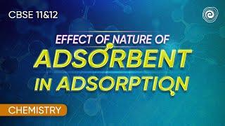 Effect of Nature of Adsorbent in Adsorption | Chemistry | CBSE 11&12 | Embibe: Achieve CBSE 11&12