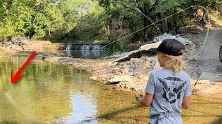 Our First Fly Fishing Attempt Ever!