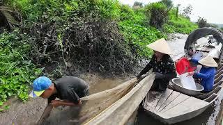 Bắt Cá Trên Sông Bằng Cách Bao Lưới, Bao Bãi Chờ Nước Cạn |Ít Nhất Cũng Bắt Được Vài Chục Kg Cá #290