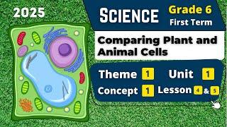 Comparing Plant and Animal Cells | Grade 6 | Unit 1 - Concept 1 - Lesson 4&5 | Science