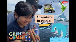 Adventure in Paihia! Dolphins, Bay of Islands Cruise, & Hole in the Rock 