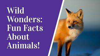 "Wild Wonders: Unveiling Fascinating Animal Fun Facts!" || MindBenderHQ