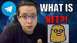 Extreme NFTs Beginners Guide | How a potato will explain NFTs | What is an NFT?